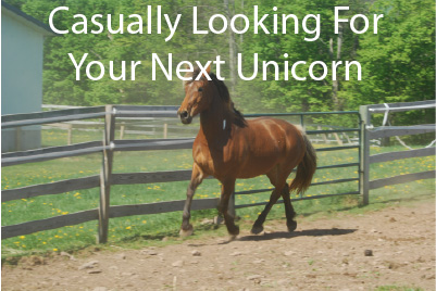 Casually Looking For Your Next Unicorn